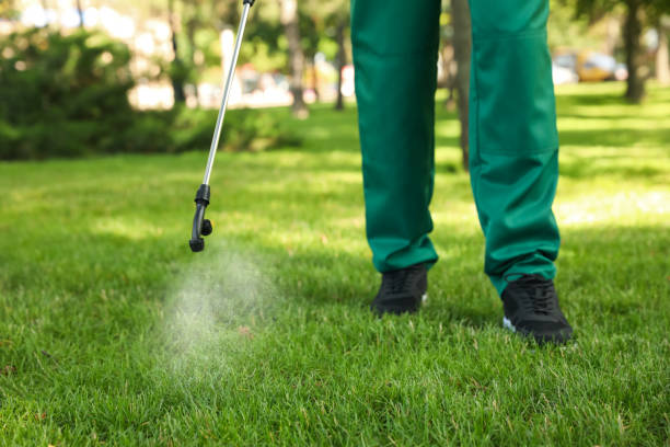 Best Exterminator Services  in Ely, MN