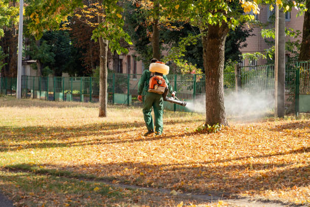 Best Best Pest Control Companies  in Ely, MN