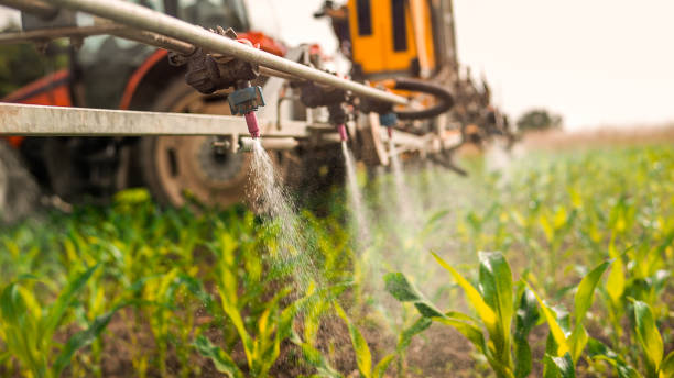 Best Mosquito Control Services  in Ely, MN